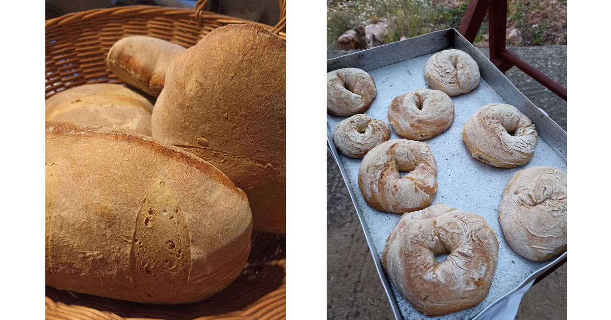 Making traditional bread in Sifnos
