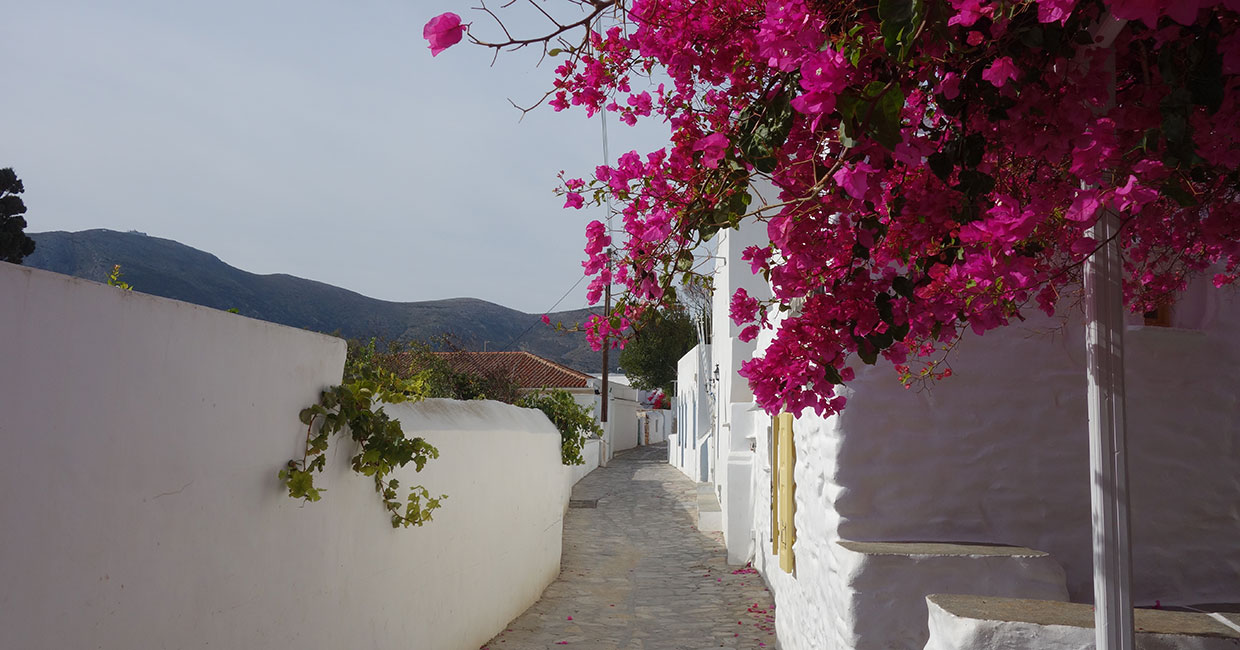 A paved alley in Artemonas