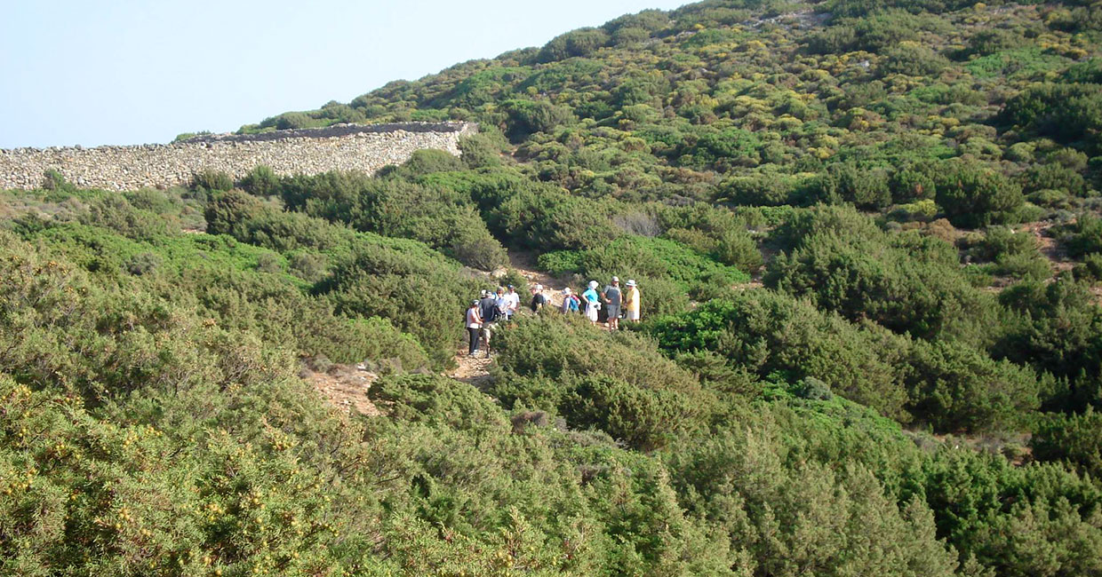 Trekking tours in Sifnos