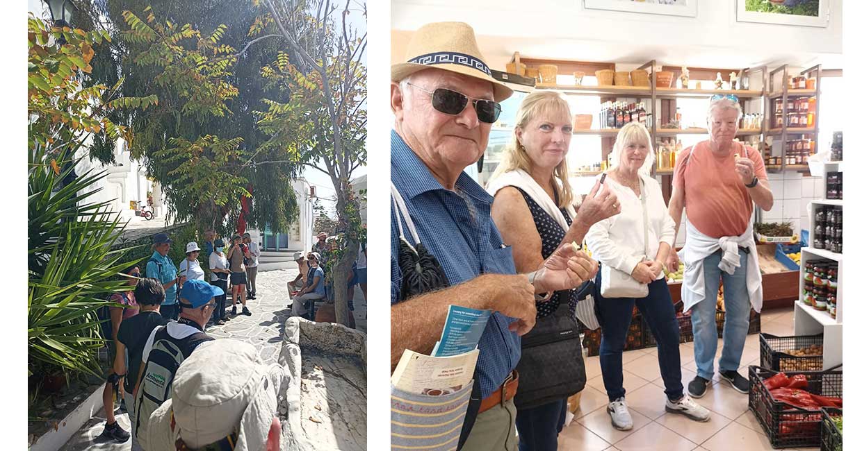 Walking and tasting around Sifnos organized for families having holidays in Sifnos