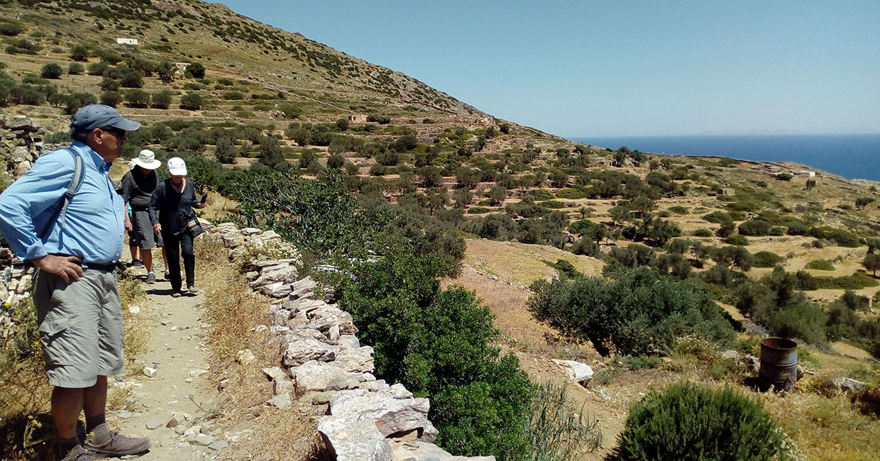 Trekking tours with groups in Sifnos